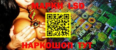 крисы Краснодар