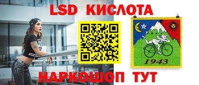 крисы Краснодар