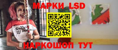 крисы Краснодар