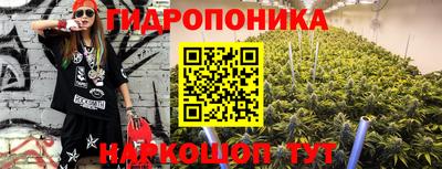 крисы Краснодар