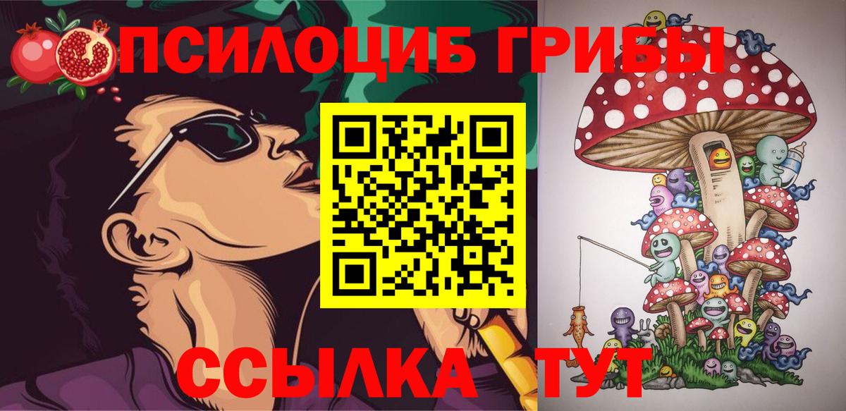 Псилоцибиновые грибы мицелий  Вход с VPN  Псилоцибиновые грибы Psilocybe  Муром 